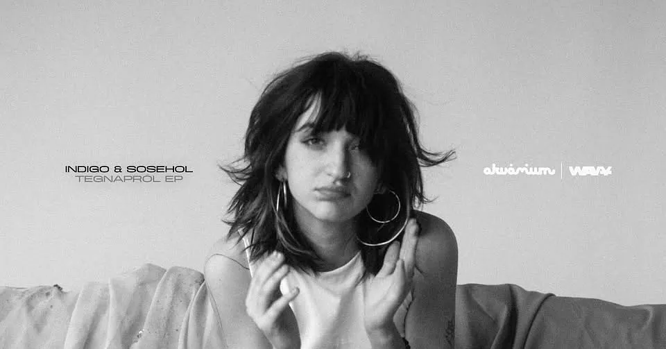 INDIGO & SOSEHOL // "TEGNAPRÓL" EP BEMUTATÓ
