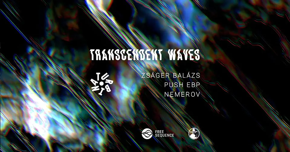 TRANSCENDENT WAVES  ⁓ Zságer Balázs, Push Ebp, Nemerov