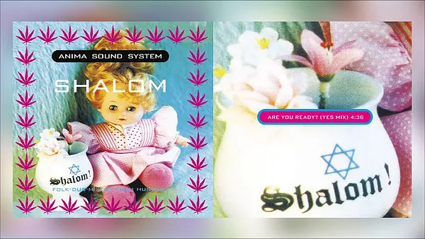 ANIMA SOUND SYSTEM: A 30 ÉVES SHALOM ALBUM ÚJRAJÁTSZÓ KONCERTJE