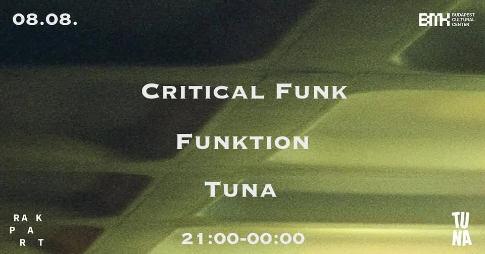 Critical Funk: Funktion