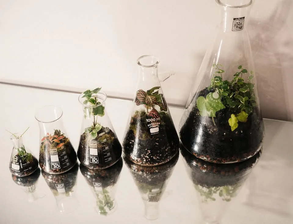 Florarium DIY Unlimited