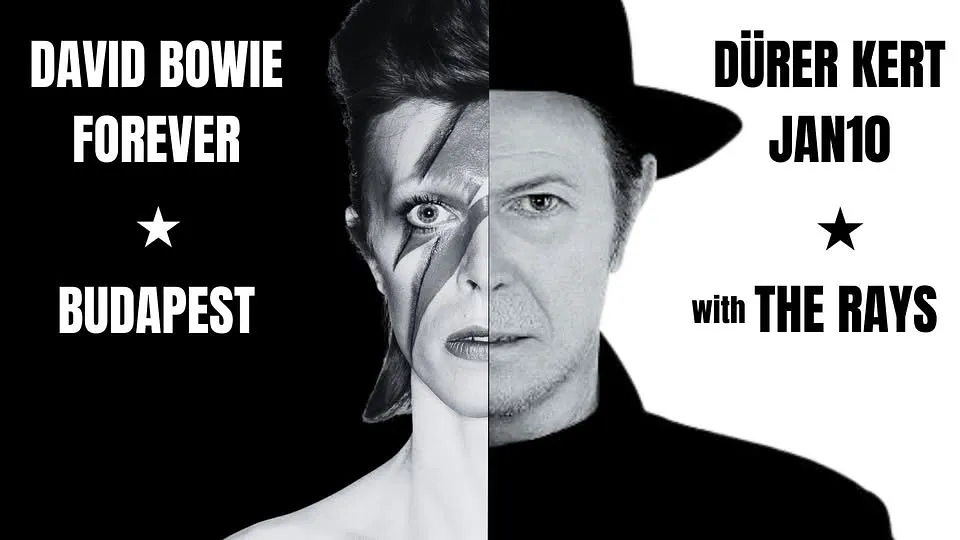 David Bowie Forever Concert with the Rays