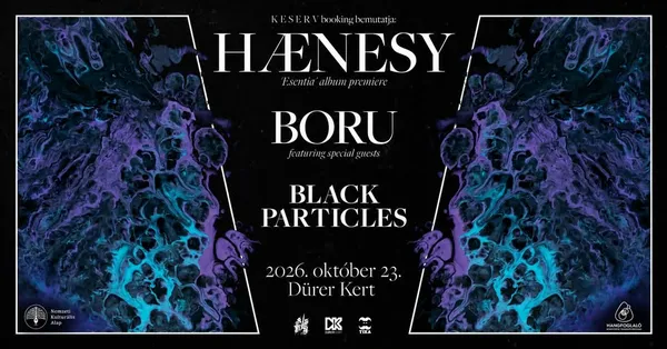 Hænesy [lemezbemutató] × BORU × black particles