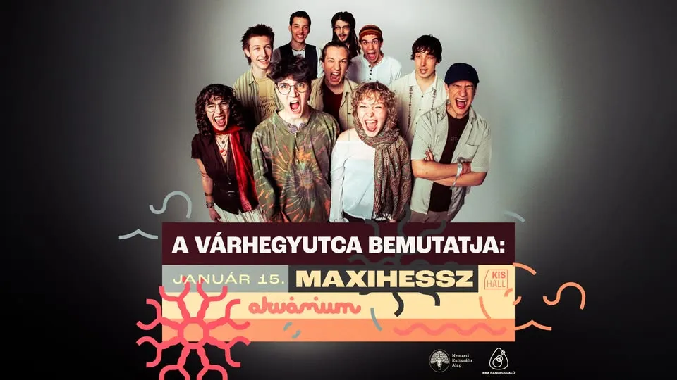 Várhegyutca: MAXIHESSZ! // Akvárium