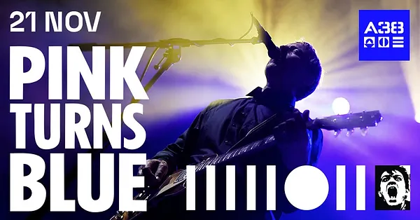 PINK TURNS BLUE • Black Swan Tour 2025 • Budapest