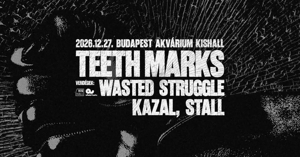 TEETH MARKS, vendég: Wasted Struggle, Kazal, Stall // Akvárium, Kishall // 12.27.