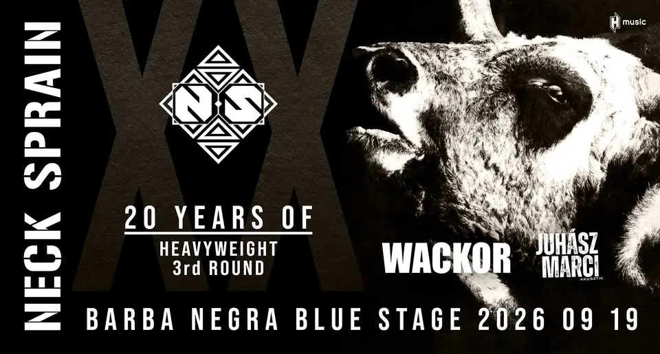 NECK SPRAIN - 20 years of Heavyweight 3rd Round @ Barba Negra, Budapest