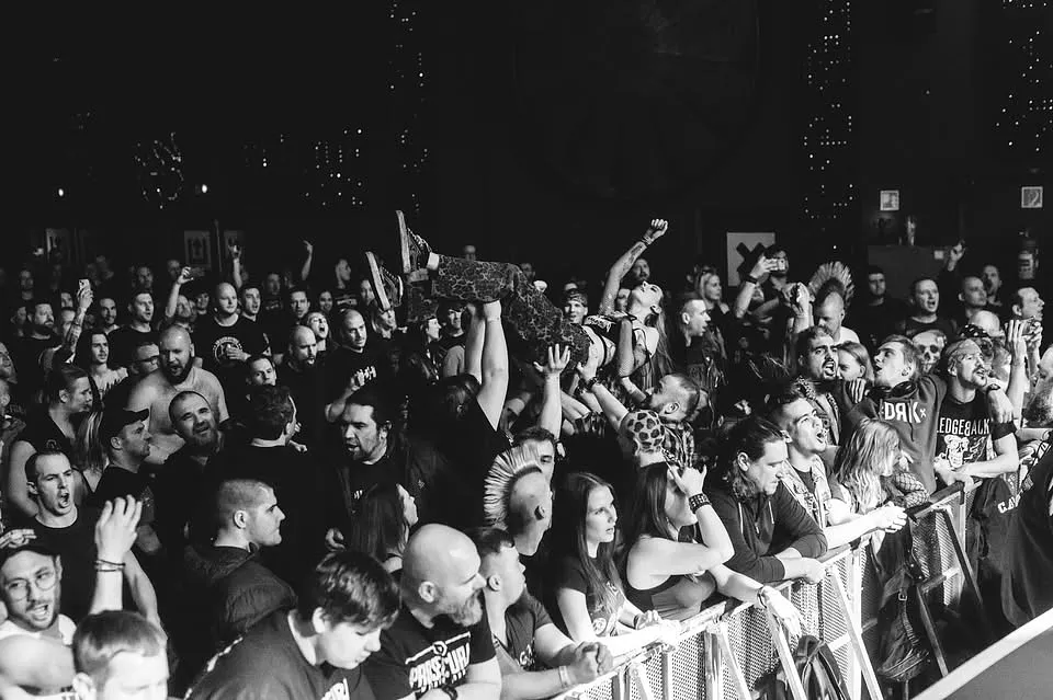 Retro PUNK buli 2026.