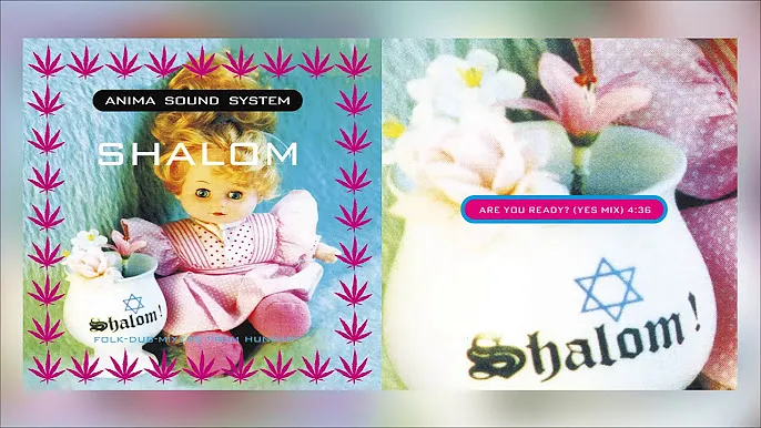 ANIMA SOUND SYSTEM: A 30 ÉVES SHALOM ALBUM ÚJRAJÁTSZÓ KONCERTJE